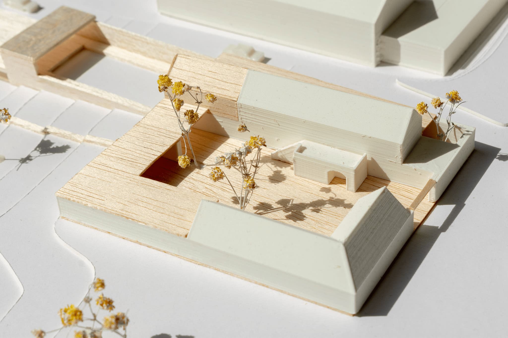 Project 004 showcase