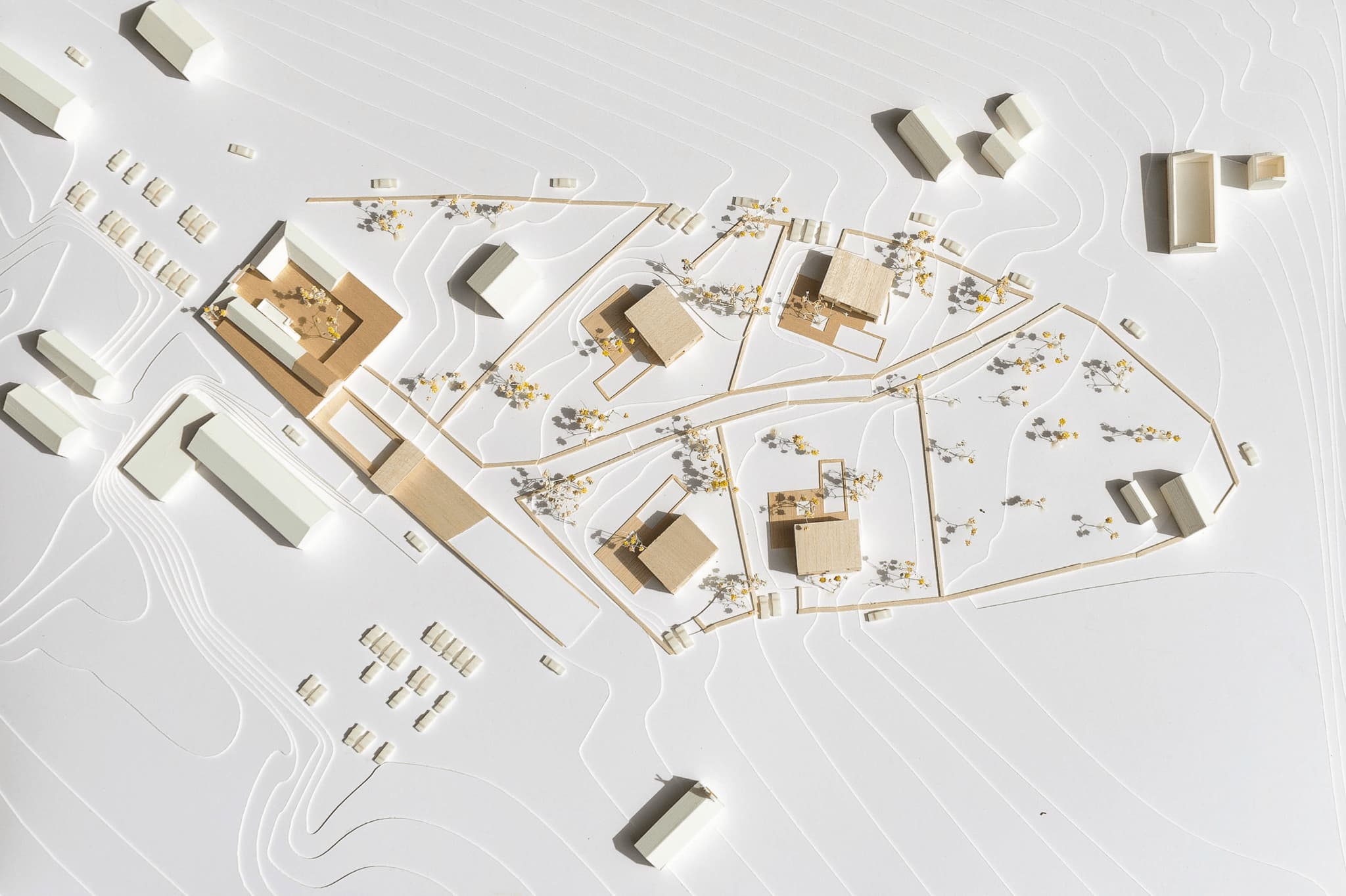 agroturizam razvode preview